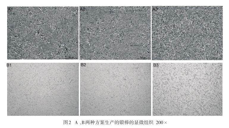 A 、B兩種方案生產(chǎn)的鍛棒的顯微組織