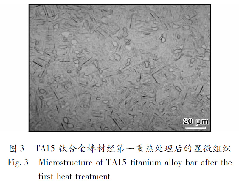 1660484946230581.jpg t3.jpg