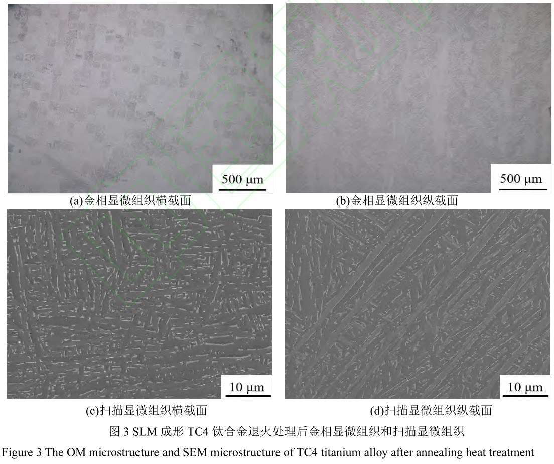 1688372062335751.jpg 未標(biāo)題-1.jpg