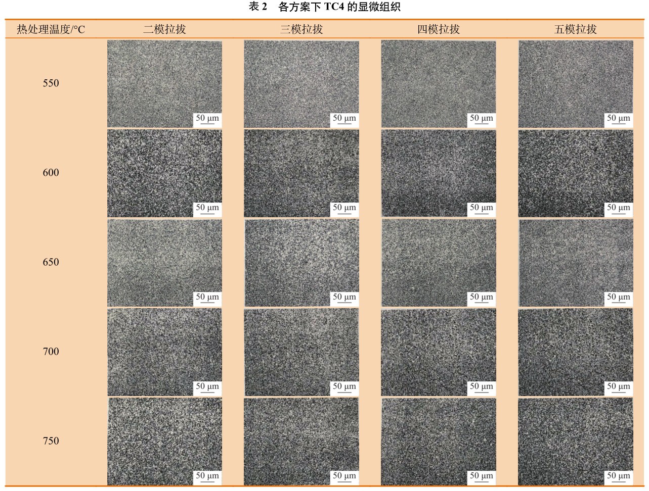 1694385309434850.jpg b2.jpg