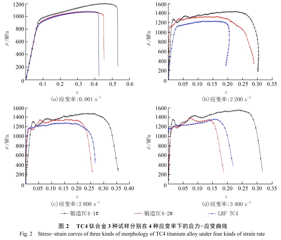 1704958374985573.jpg t2.jpg