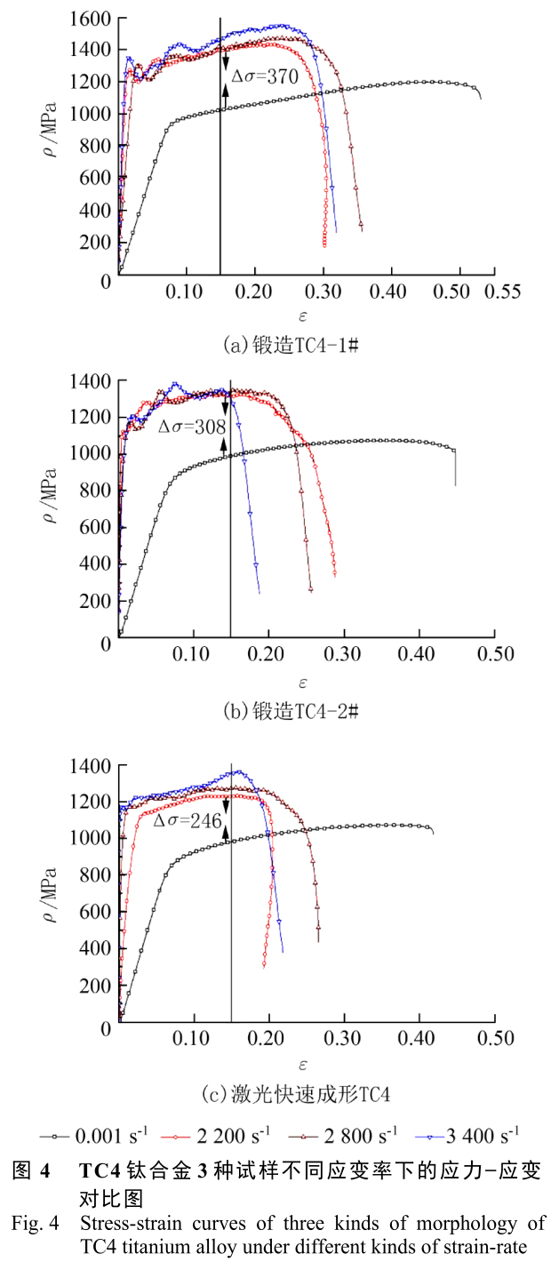 1704958393500584.jpg t4.jpg