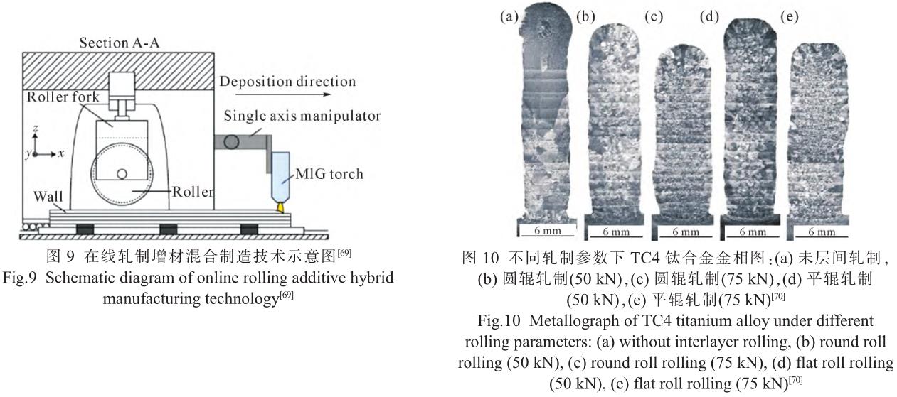 1705821683929904.jpg t9-10.jpg